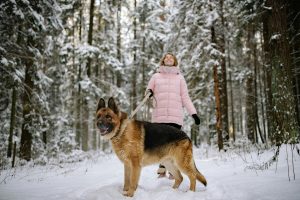 A joyful woman walking her German Shepherd in a snowy forest, enjoying a winter day.